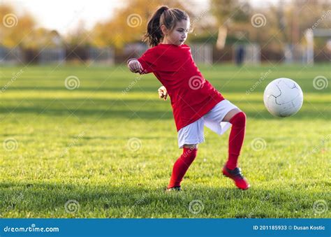 축구분석사이트: 달리는 고양이가 축구공을 차면 무슨 일이 벌어질까?